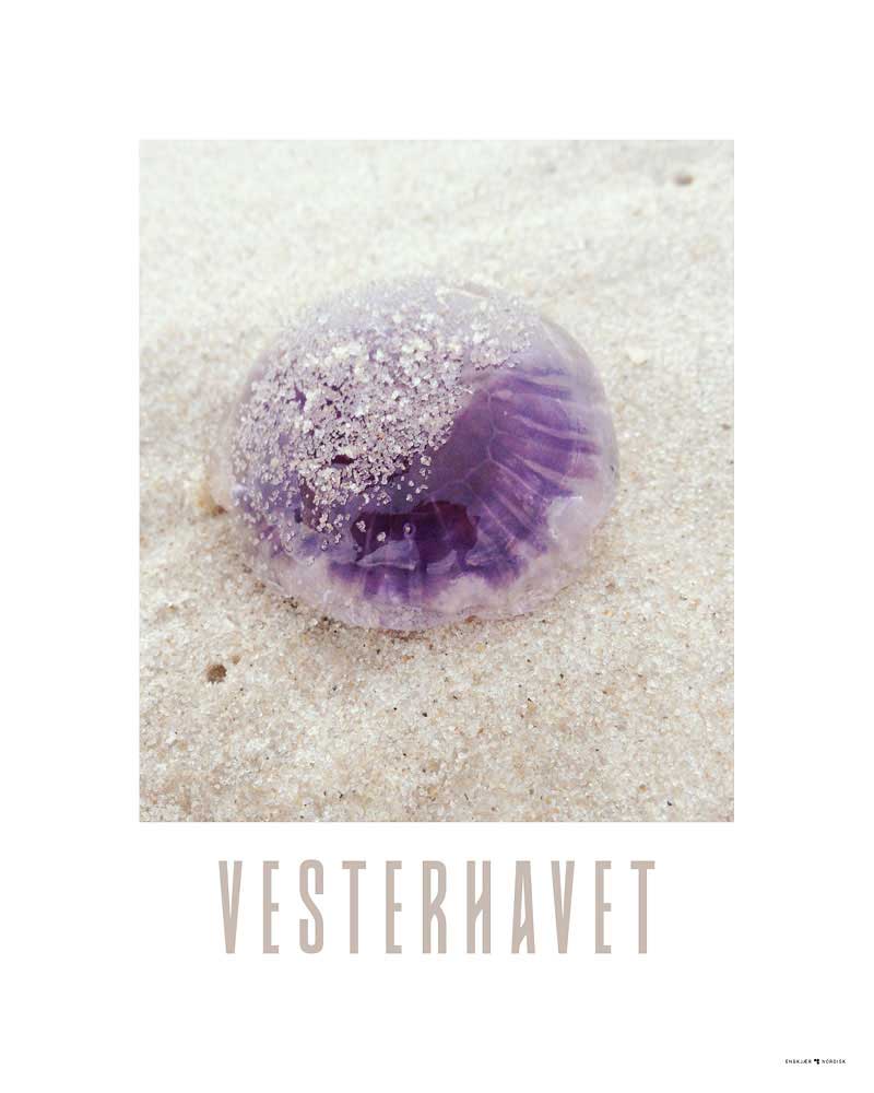 Vesterhavet Plakat #13 - Perfekt til sommerhuset!