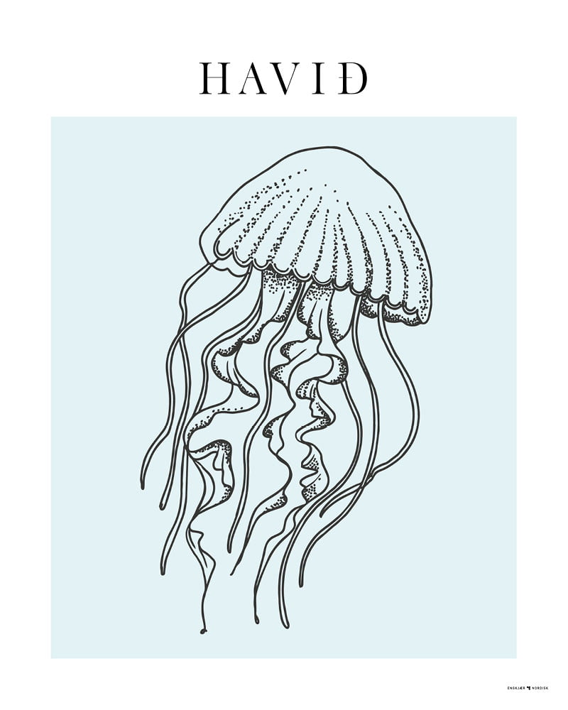 HaviÃ° #3