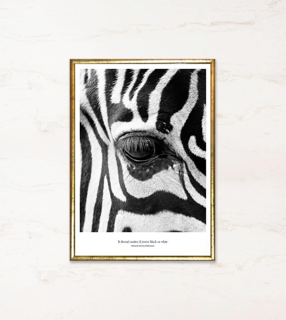 Black or White A3