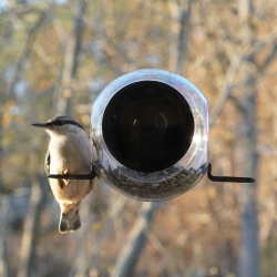 Bird Feeder sæt - Born In Sweden